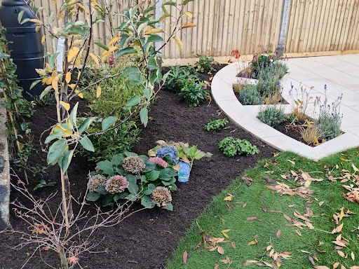 Blooming Mad Landscapes photo 5