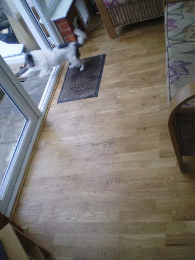 Laguna Services Ltd photo 1