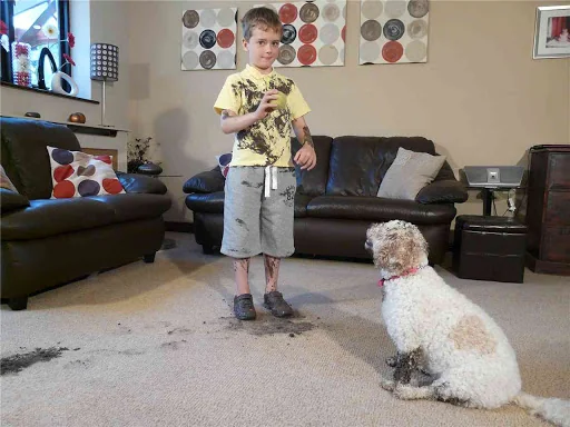 A Brighter Home photo 2