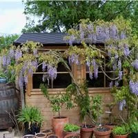 Tony Britton Landscaping &amp; Construction photo 7