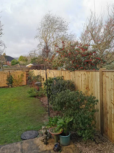 Willingdon Garden Services photo 6