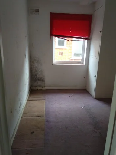 Saunders and Son Waste Clearance photo 7