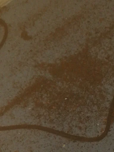 Lunesdale Services photo 1