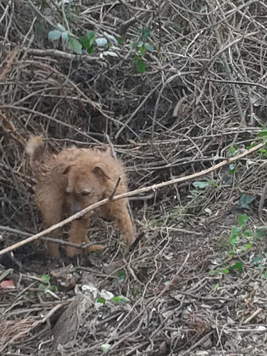 Lunesdale Services photo 2
