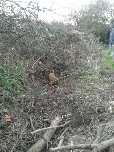 Lunesdale Services photo 3