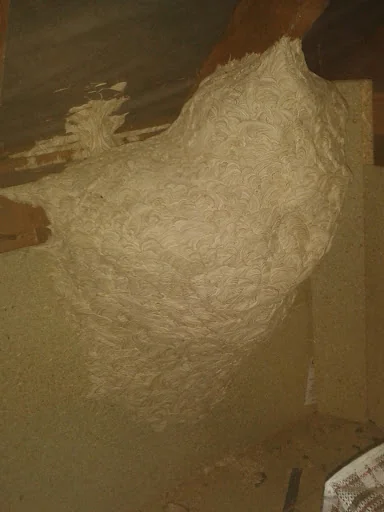 Lunesdale Services photo 5