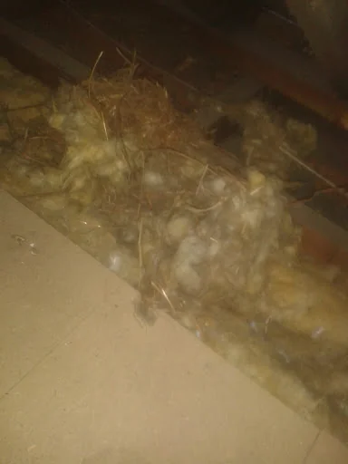 Lunesdale Services photo 7