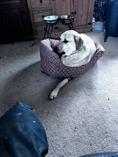 SH Plumbing &amp; Heating Services photo 1