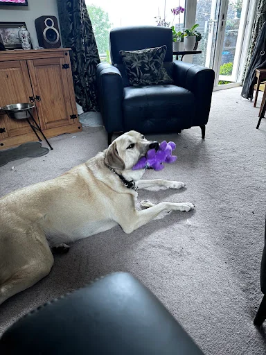 SH Plumbing &amp; Heating Services photo 2