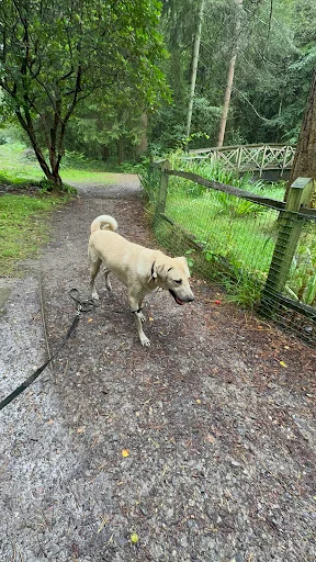 SH Plumbing &amp; Heating Services photo 3