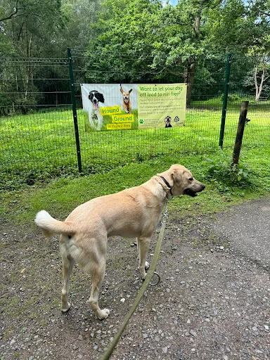 SH Plumbing &amp; Heating Services photo 4