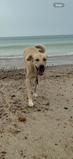 SH Plumbing &amp; Heating Services photo 5