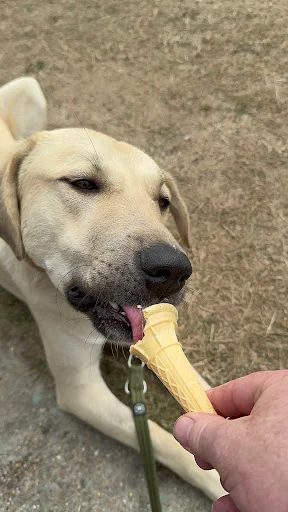 SH Plumbing &amp; Heating Services photo 6