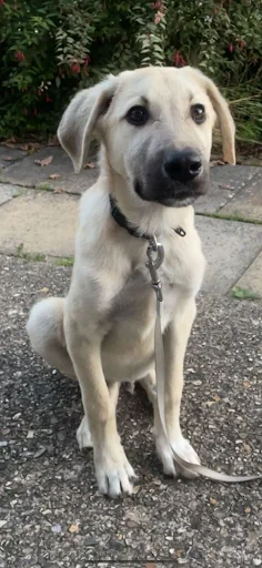 SH Plumbing &amp; Heating Services photo 7