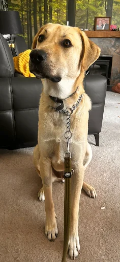 SH Plumbing &amp; Heating Services photo 8