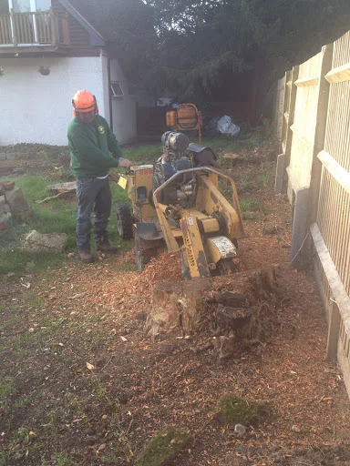 Southern Tree Care photo 3