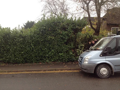 Southern Tree Care photo 4