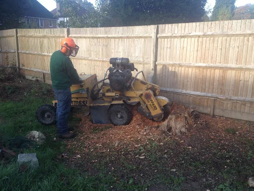 Southern Tree Care photo 5