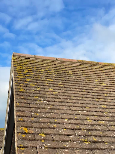 I Milner &amp; Son Roofing photo 5