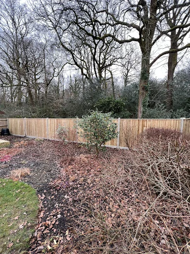 South Coast Fencing Ltd photo 3