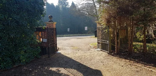 Switched Electrics Ltd photo 4