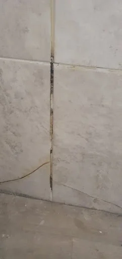 DCYL Ceramics photo 5