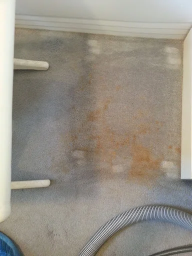 First Class Cleaning Services photo 8