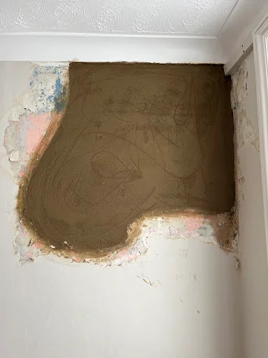 Premier Plastering Services photo 7