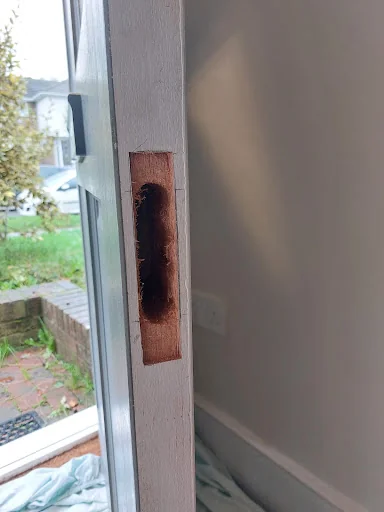 Lucy Locksmith photo 4