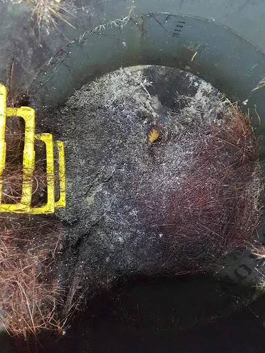 DL Wood Drain Services photo 2