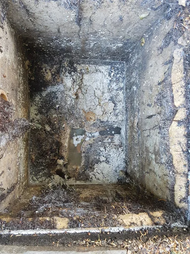 DL Wood Drain Services photo 5