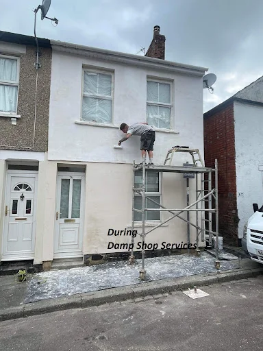 Damp Services Direct photo 2