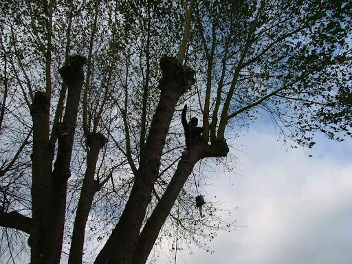 Bailey Bros (Southern) Ltd photo 1