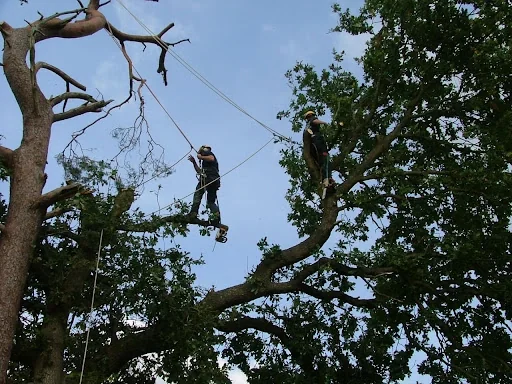 Bailey Bros (Southern) Ltd photo 2