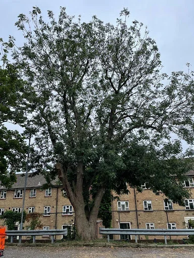 Bailey Bros (Southern) Ltd photo 3