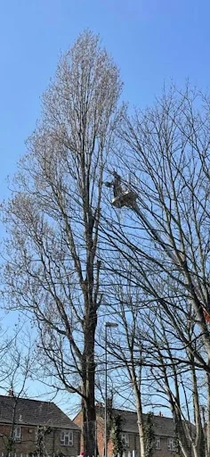 Bailey Bros (Southern) Ltd photo 5