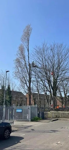 Bailey Bros (Southern) Ltd photo 6