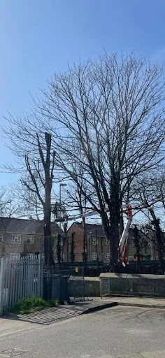 Bailey Bros (Southern) Ltd photo 7