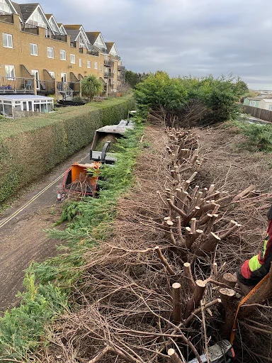 Bailey Bros (Southern) Ltd photo 8