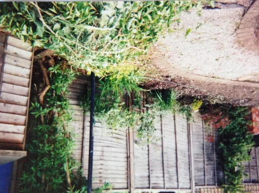 Clifford Oakley Tree Care &amp; Landscaping Services photo 3