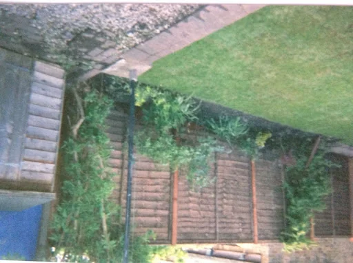 Clifford Oakley Tree Care &amp; Landscaping Services photo 5