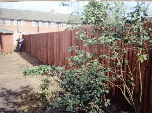 Clifford Oakley Tree Care &amp; Landscaping Services photo 7