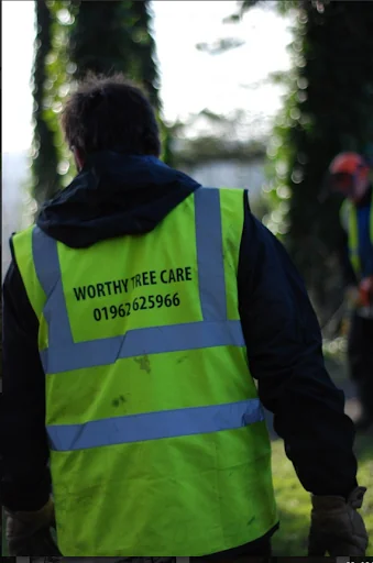 Worthy Treecare photo 3