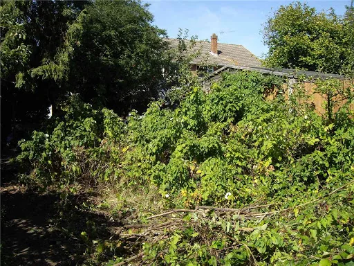 County Landscapes (Hanworth) photo 6