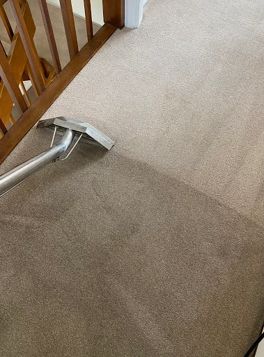 Concept Carpet Cleaning photo 1