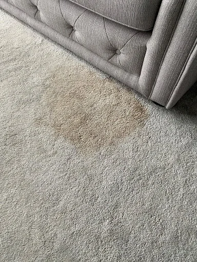 Concept Carpet Cleaning photo 2