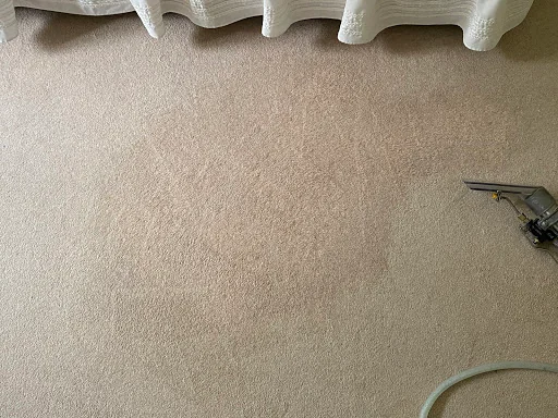 Concept Carpet Cleaning photo 5