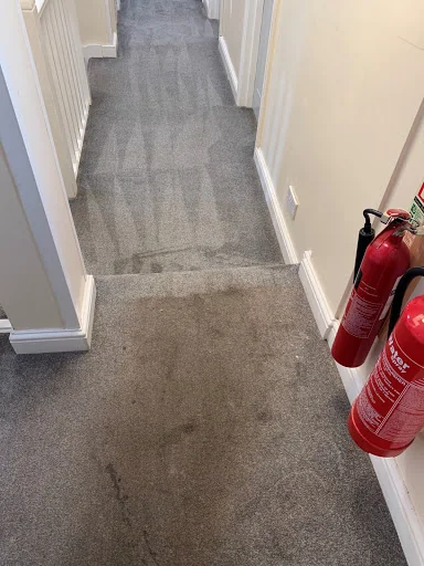 Concept Carpet Cleaning photo 6