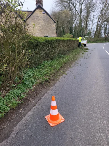 L Benham Painting Services &amp; Garden Maintenance photo 7