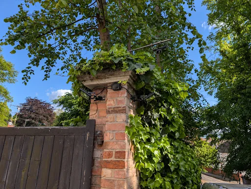 Heat Light &amp; Power Ltd photo 1